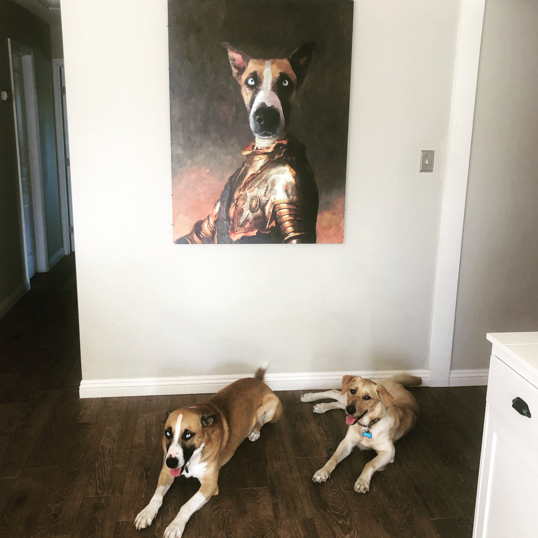 Happy Gotcha Day!