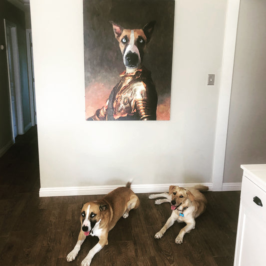 Happy Gotcha Day!