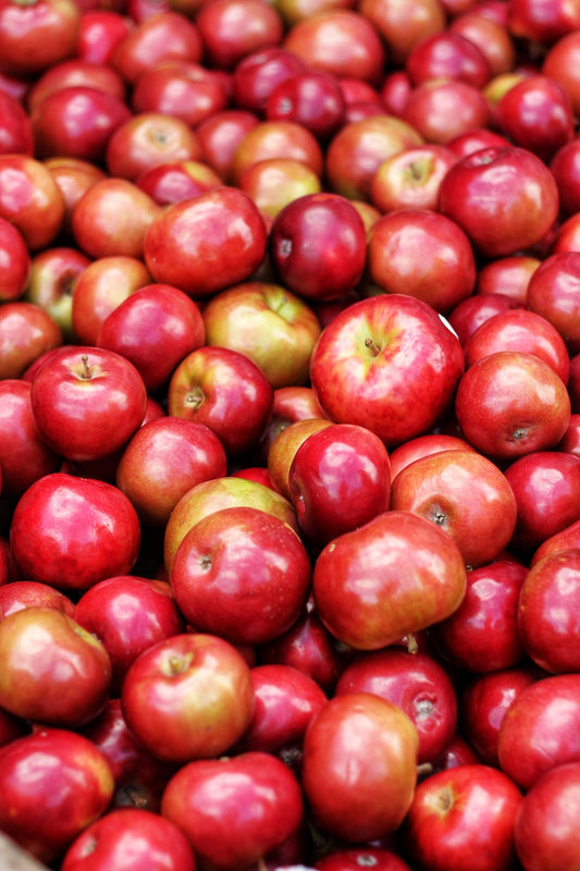 Can Dogs Eat Apples?