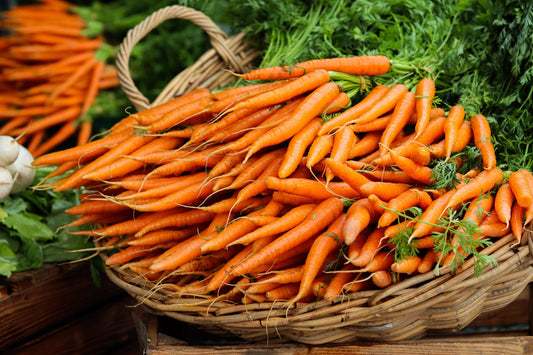 Can Dogs Eat Carrots?