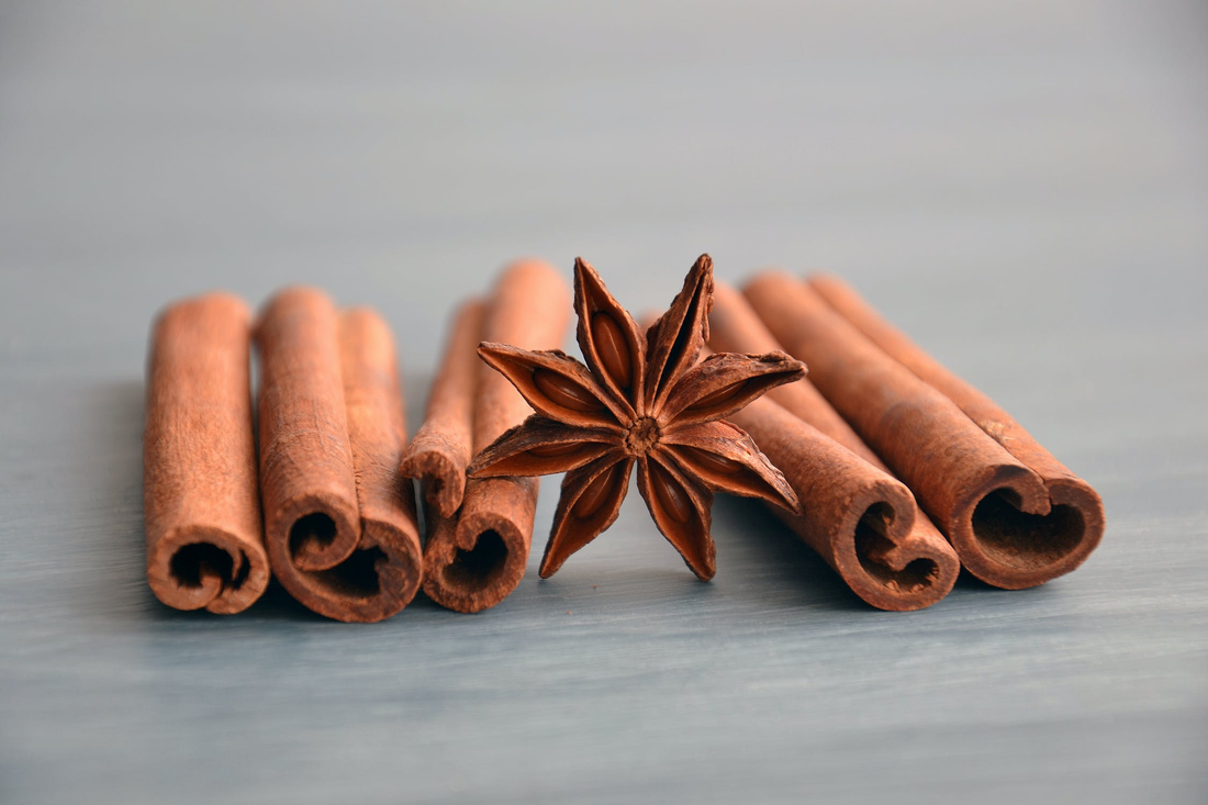 Can Dogs Eat Cinnamon?