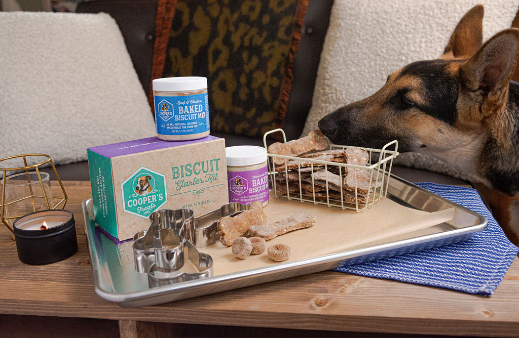Dog Treat Recipes