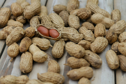 Can Dogs Eat Peanuts?