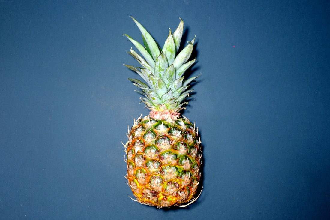 Can Dogs Eat Pineapple?