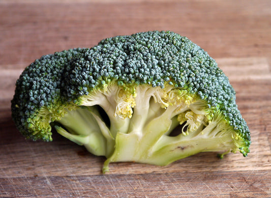 Can Dogs Eat Broccoli?