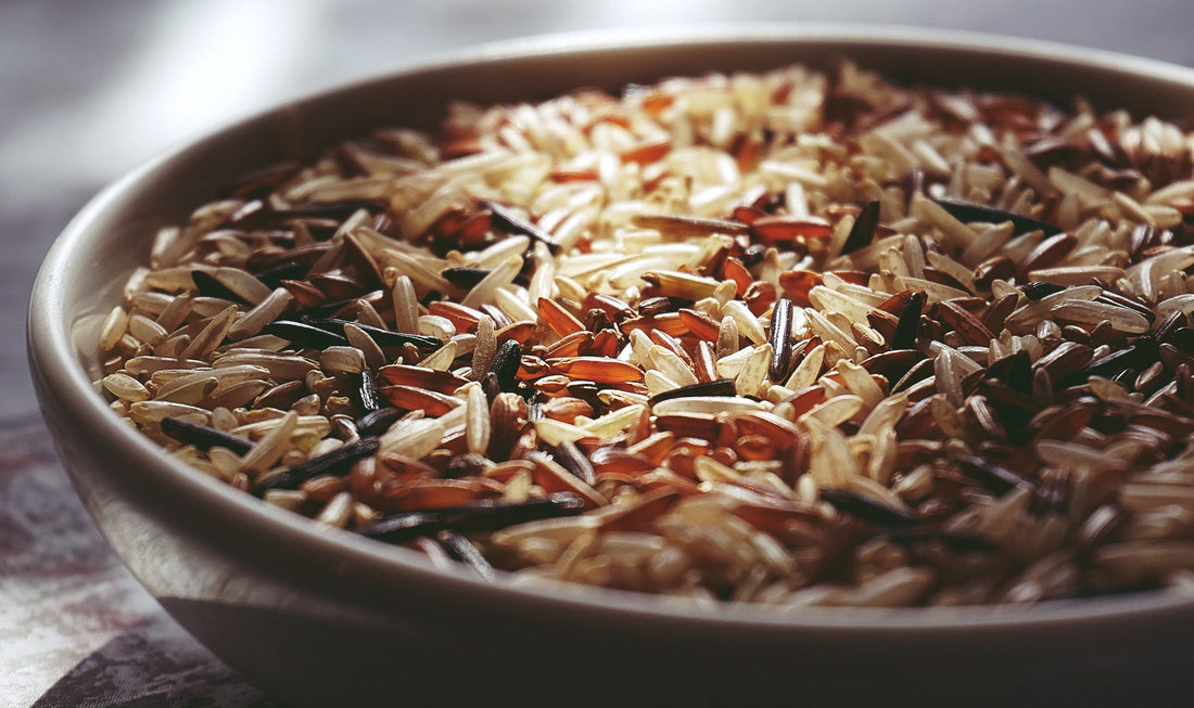 Can Dogs Eat Rice?