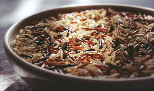 Can Dogs Eat Rice?