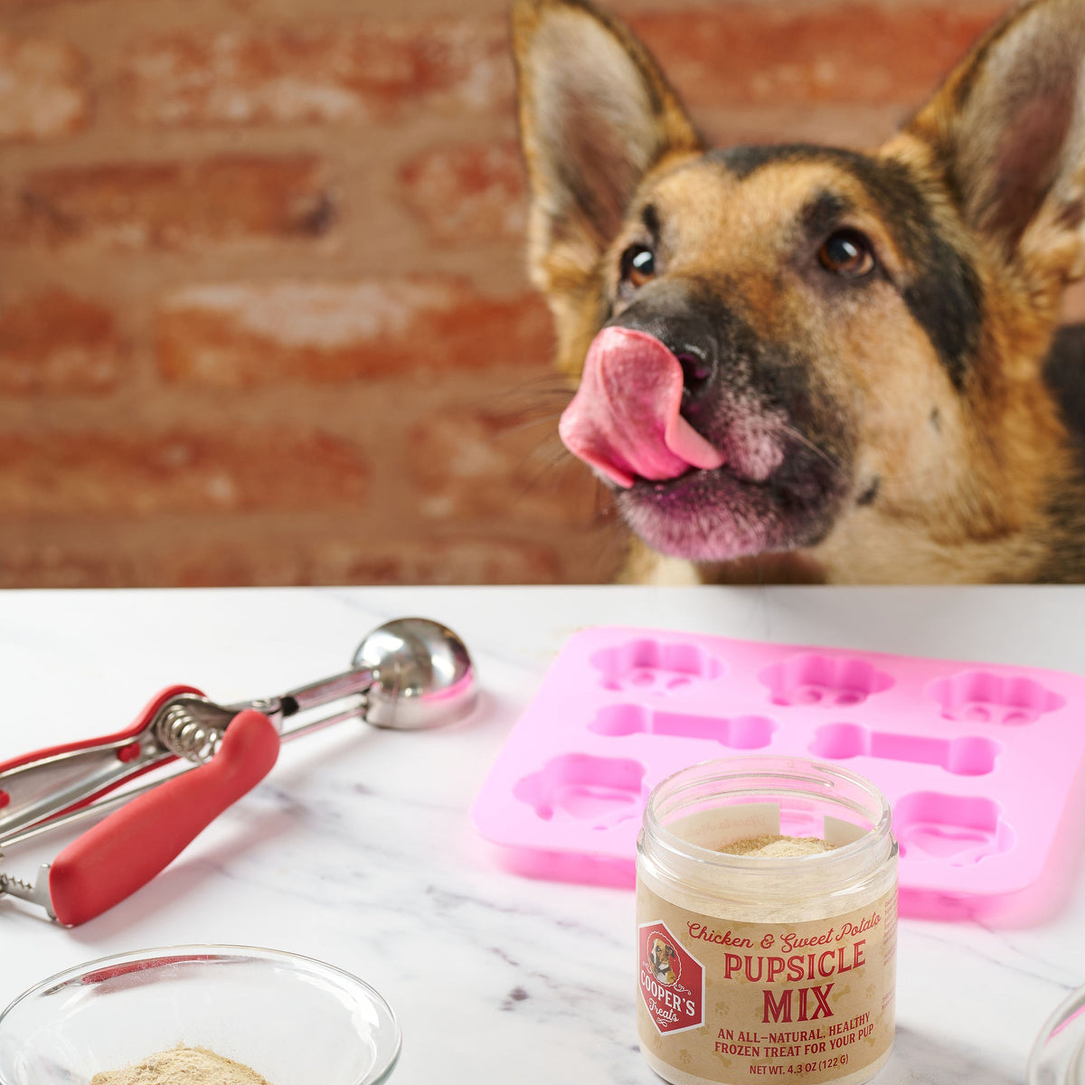 dog and jar of mix on counter