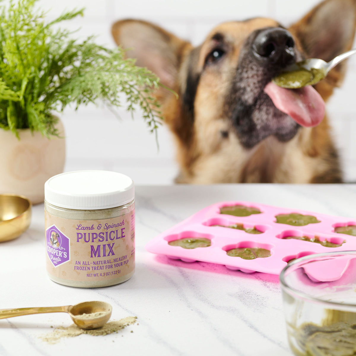 dog licking spoon of pupsicle mix with jar of pupsicle in foreground