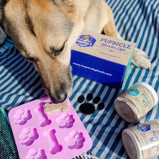 Pupsicle Starter Kit