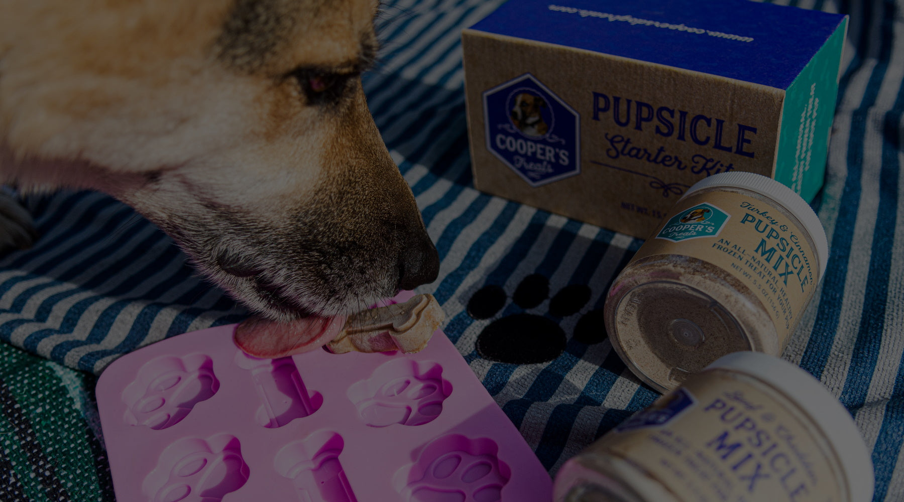 Dog licking pupsicle with pupsicle starter kit