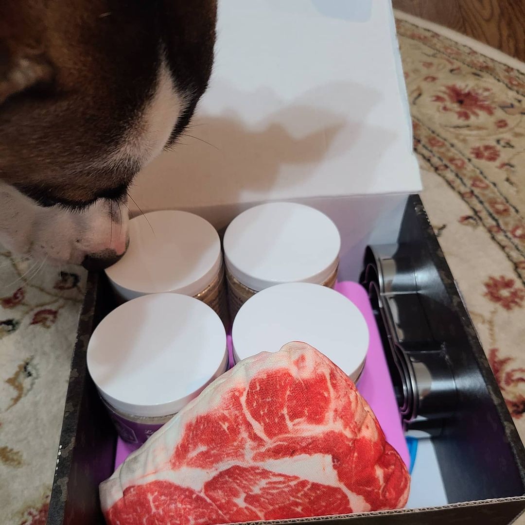 dog with doggie deluxe box