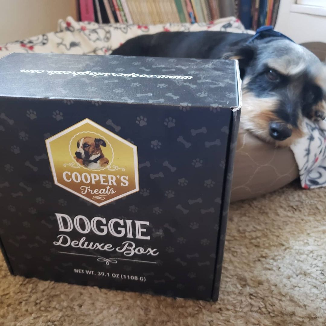 dog with doggie deluxe box