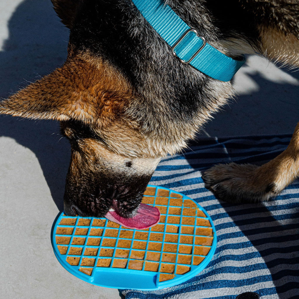 dog licking lick mat