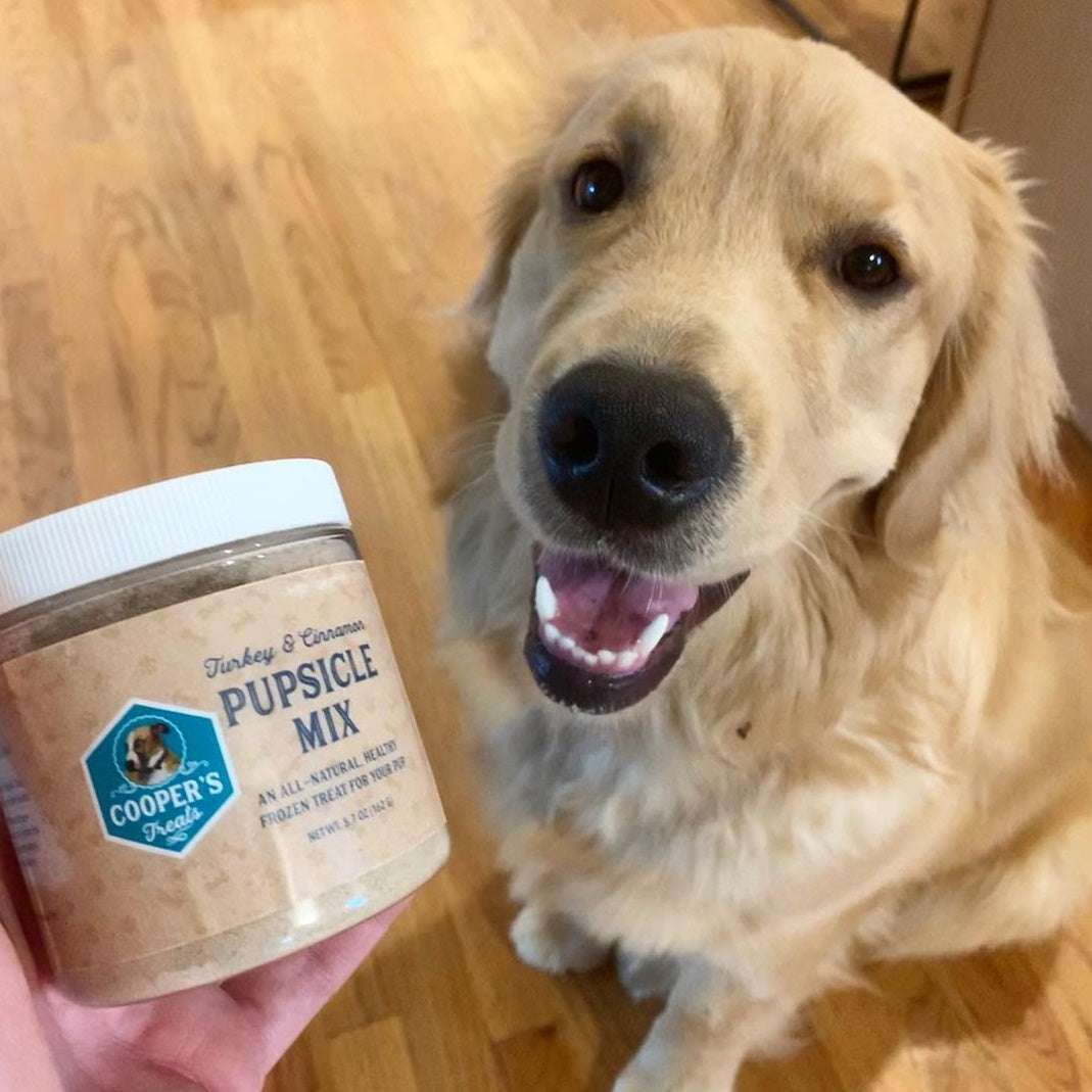 dog looking at pupsicle jar