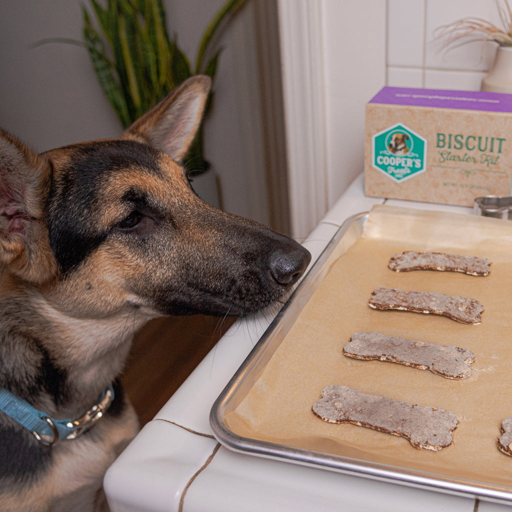 Baked Biscuit Starter Kit