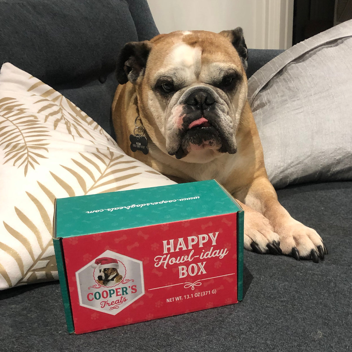 Happy Howl-iday Box