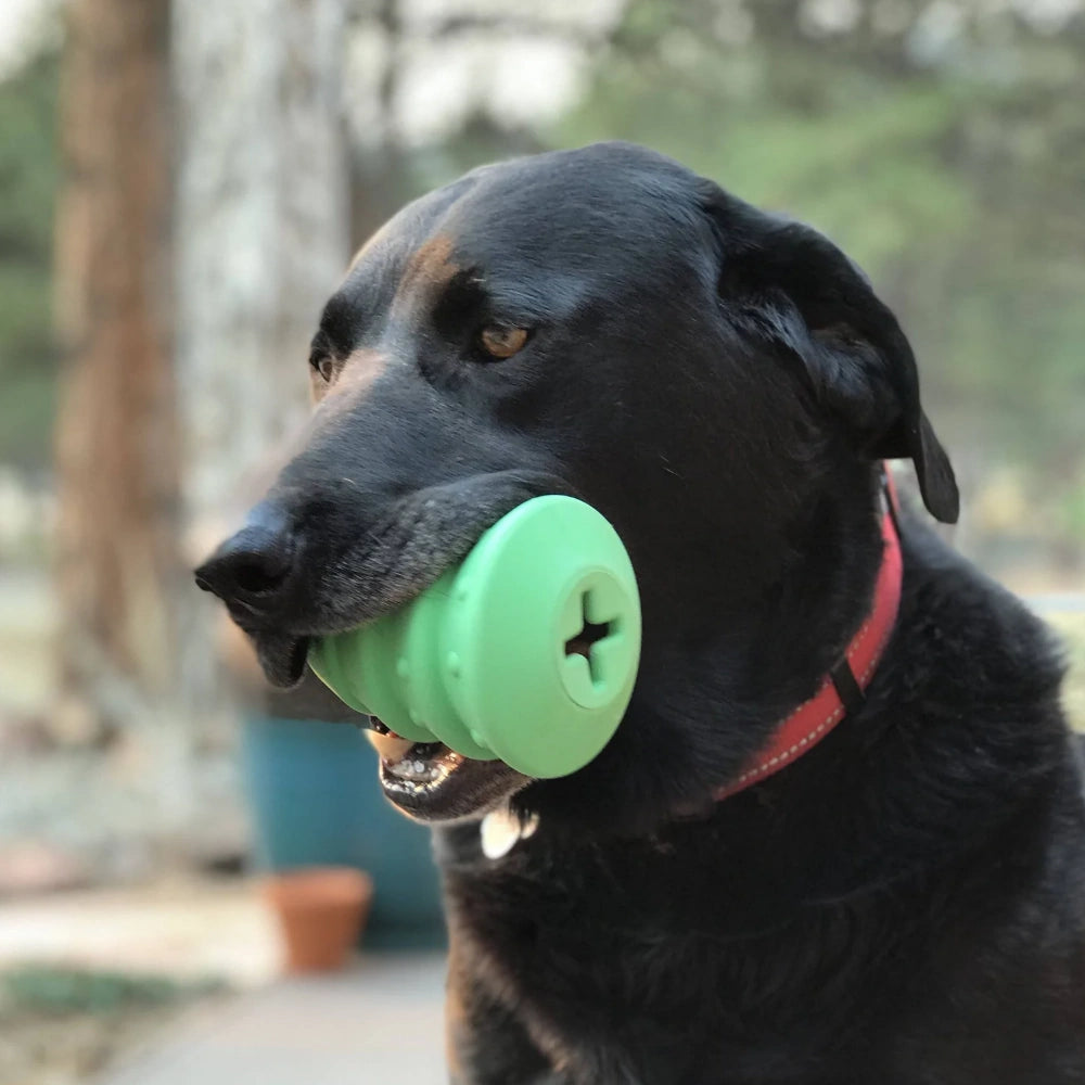 Christmas Tree Treat Dispenser